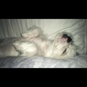 Meet your Posher, Mary